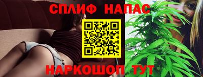 молекула духа Заводоуковск