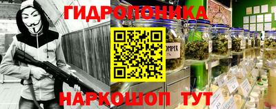 молекула духа Заводоуковск