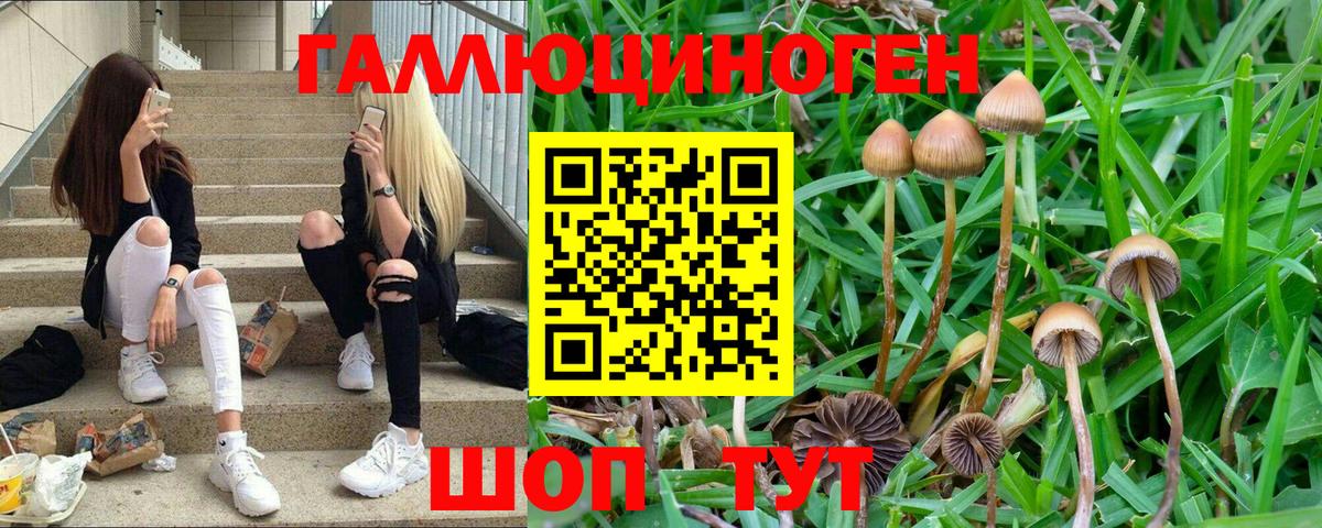Псилоцибиновые грибы прущие грибы  Вход с VPN  Лабытнанги 
