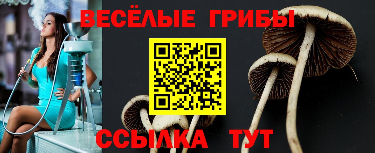Галлюциногенные грибы GOLDEN TEACHER Лабытнанги